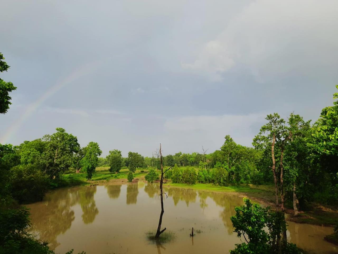 Emerald Tiger Retreat Tāla 외부 사진